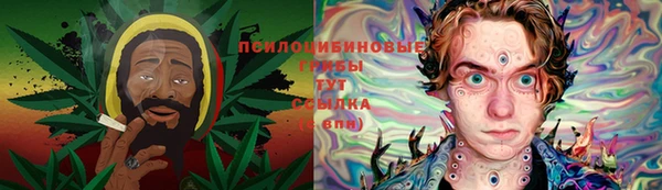 шишки Абаза