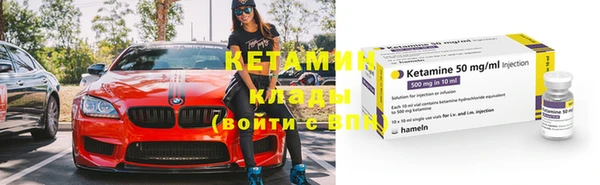 шишки Абаза