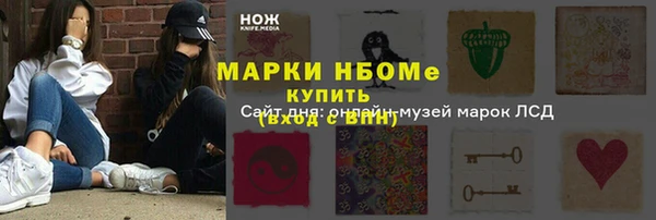 шишки Абаза