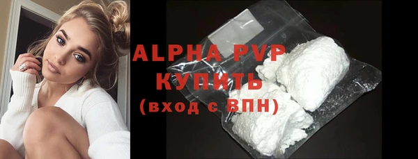шишки Абаза