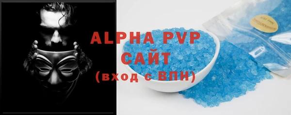 шишки Абаза