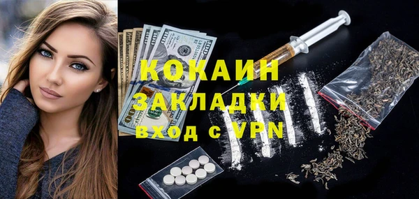 шишки Абаза