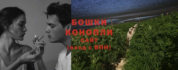 шишки Абаза