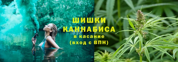 шишки Абаза