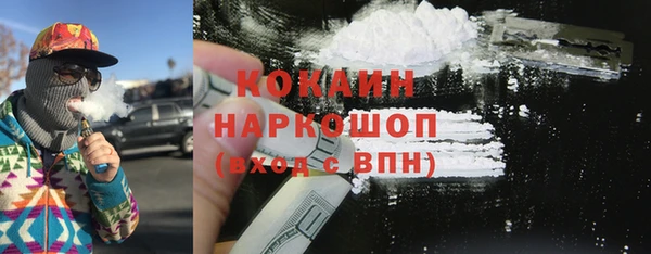 шишки Абаза