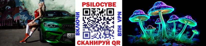 Псилоцибиновые грибы MAGIC MUSHROOMS Серафимович